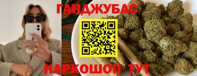 крисы Новокубанск