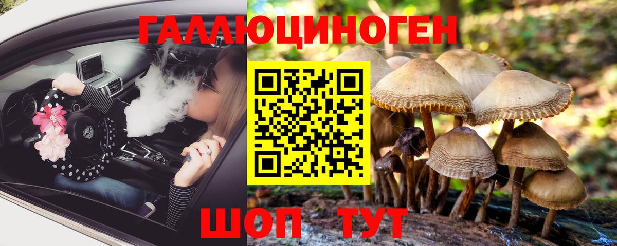 Псилоцибиновые грибы Psilocybine cubensis  Вход с VPN  купить   Черняховск 