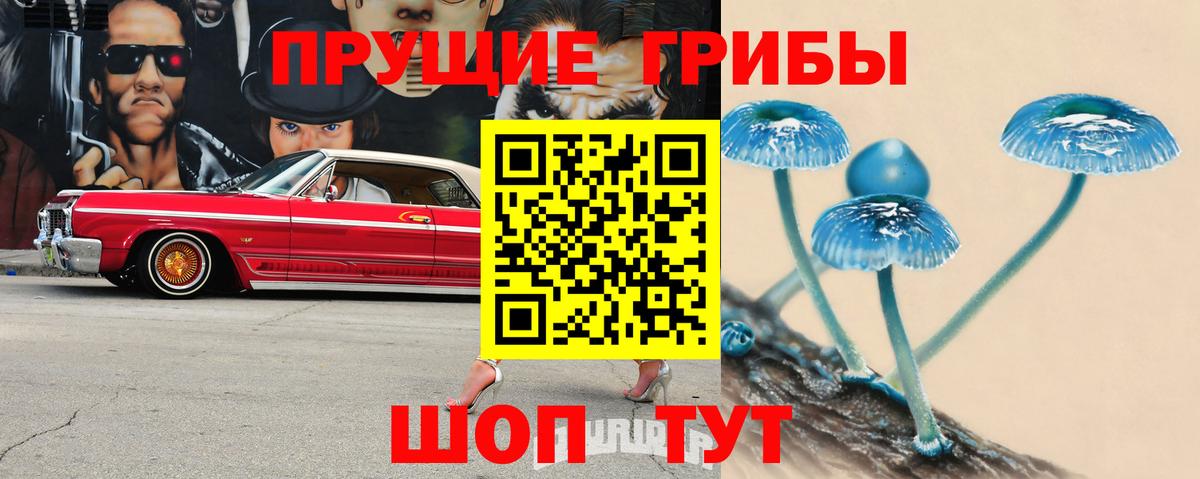 Галлюциногенные грибы MAGIC MUSHROOMS Черняховск